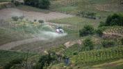 Ein Sprühhelikopter der Air Glacier behandelte diese Woche mehrere Weinberge bei St. German. WWF und Pro Natura haben beim Kanton interveniert.