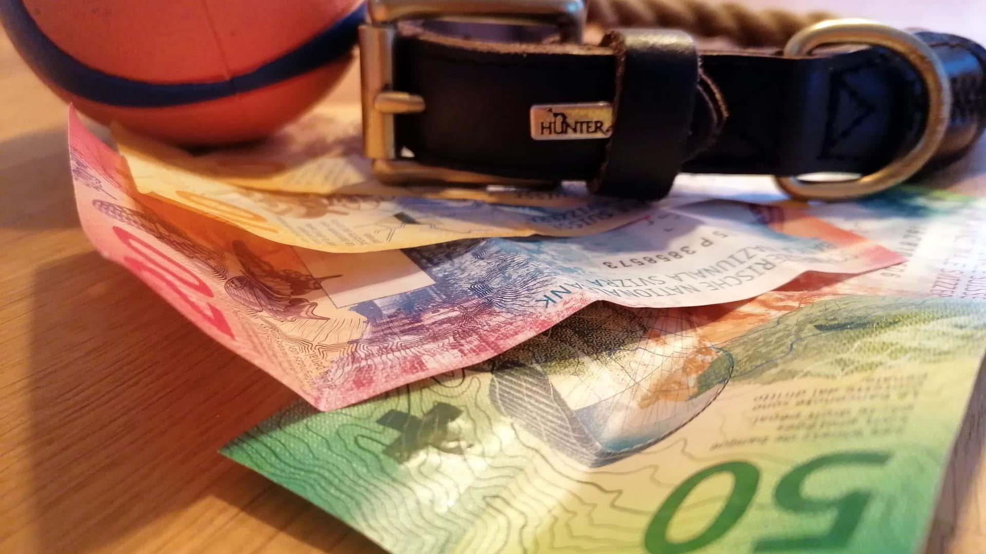 Aus über 50 hamilton