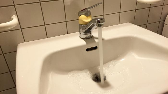 kolibakterien im trinkwasser