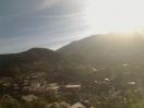 Fiesch