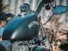 Harley-Treffen