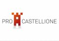 Stiftung Pro Castellione